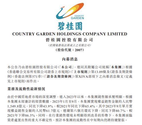 碧桂园爆料最新公告,揭秘重大战略调整与未来发展动向  第2张